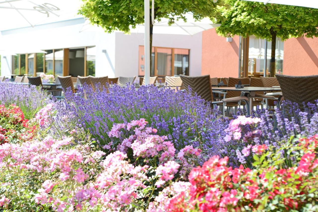 Weinkulturgut Longen-Schloeder Hotel Longuich Exterior photo