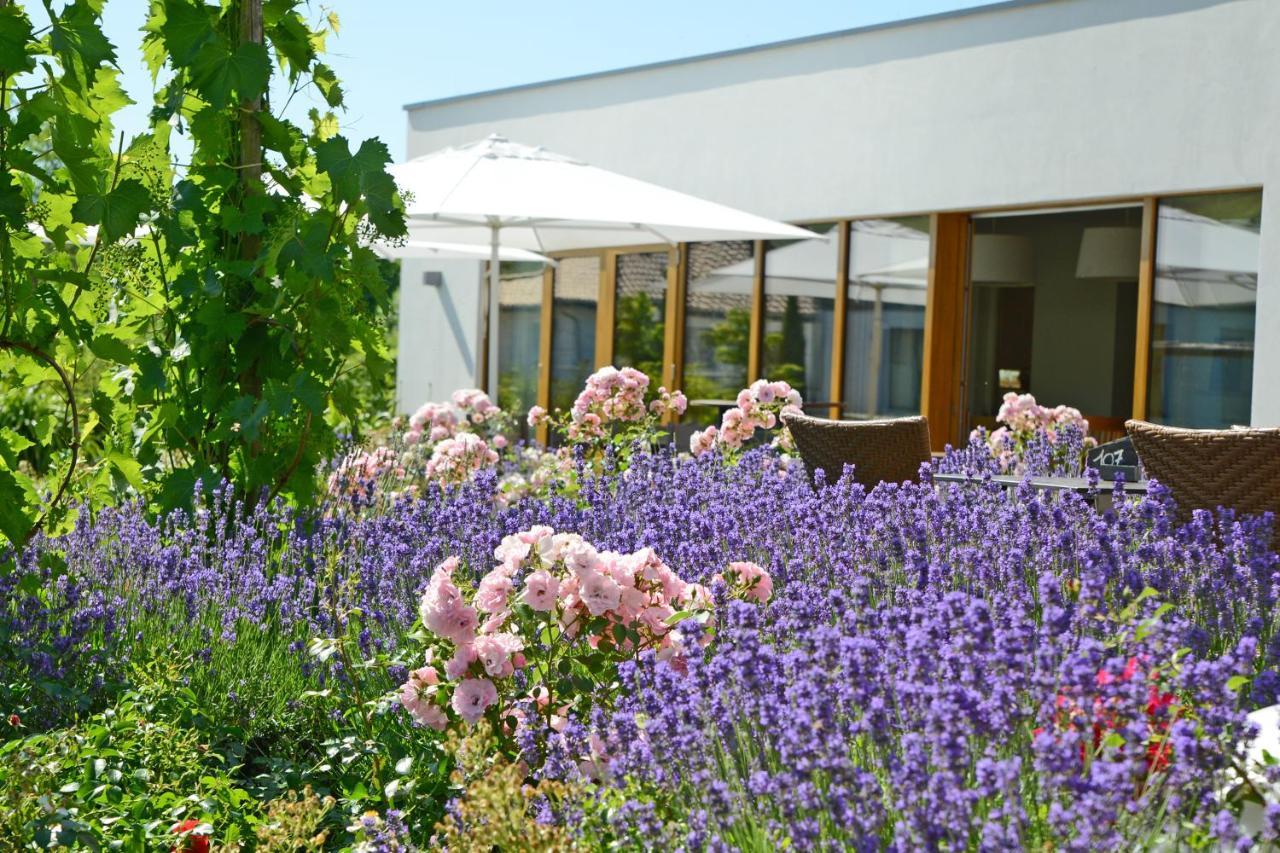 Weinkulturgut Longen-Schloeder Hotel Longuich Exterior photo